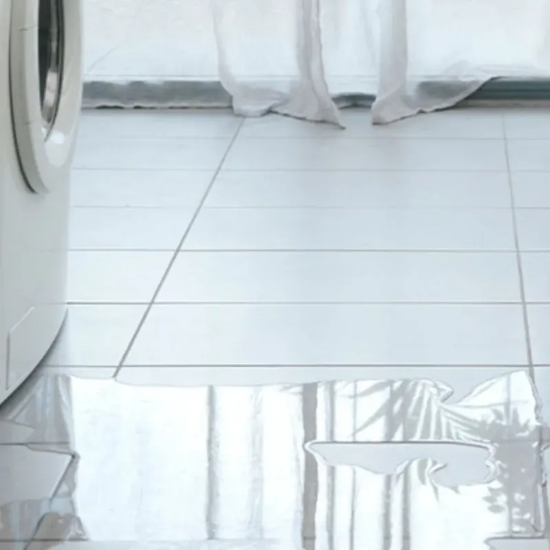 Appliance Leak Cleanup in Clallam County, WA