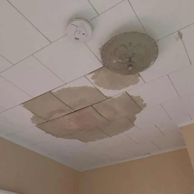 Ceiling Water Damage Repair in Clallam County, WA