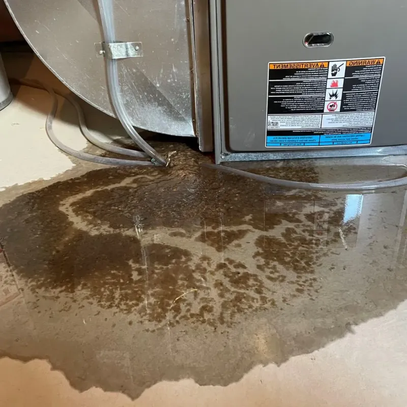 Pipe Burst and Leak Restoration in Clallam County, WA