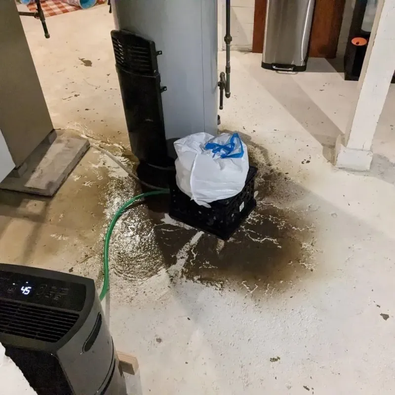 Sewage Backup Cleanup Service in Clallam County, WA